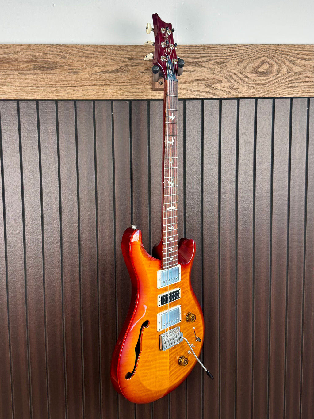 2024 PRS S2 Special Semi Hollow