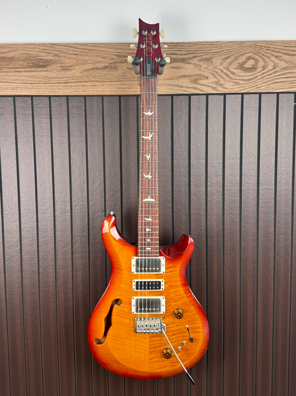 2024 PRS S2 Special Semi Hollow