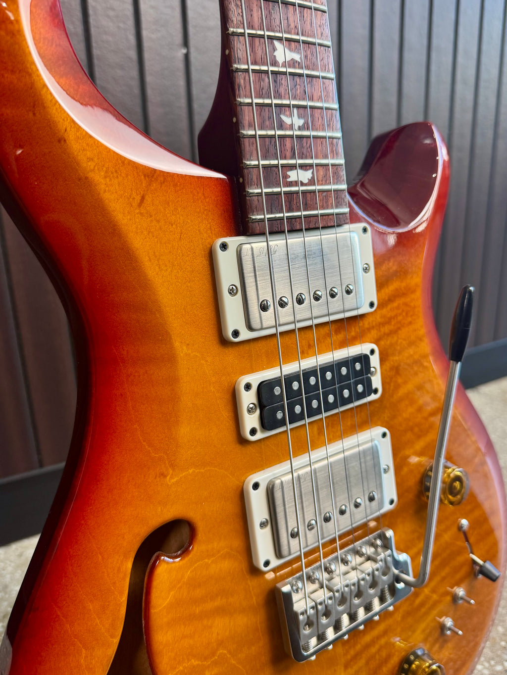2024 PRS S2 Special Semi Hollow
