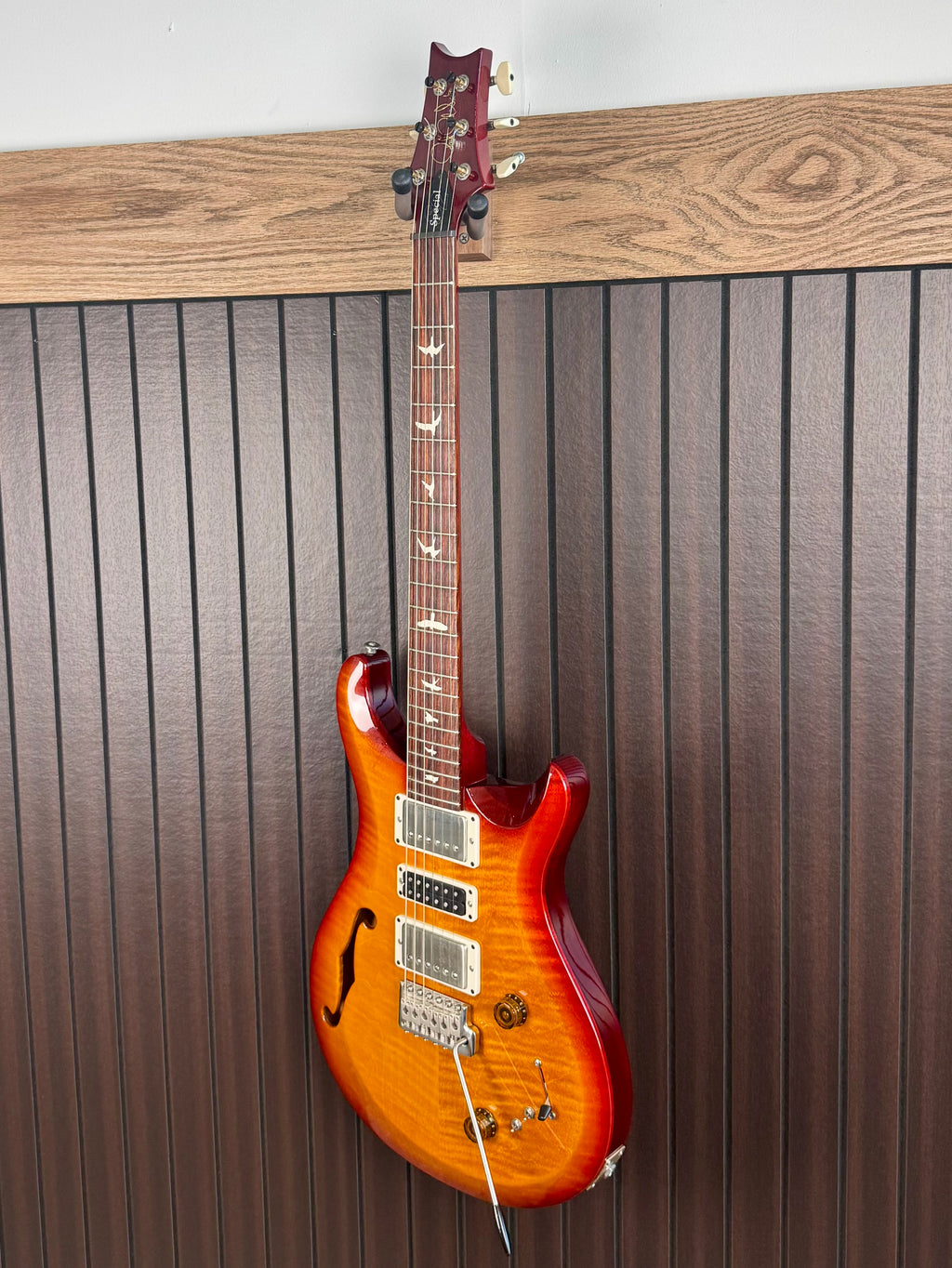 2024 PRS S2 Special Semi Hollow
